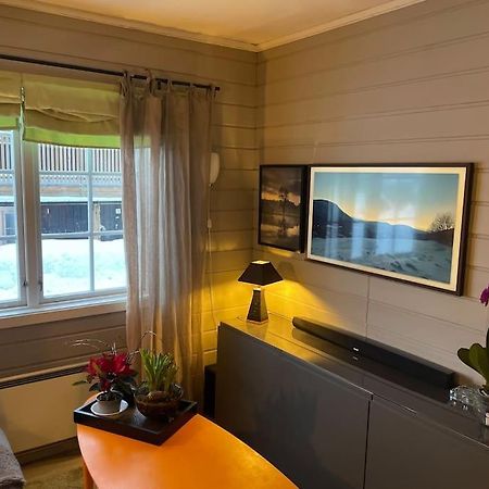 Ferienwohnung Koselig Leilighet , Med Parkering Og Ski In &Out. Oppdal Exterior foto