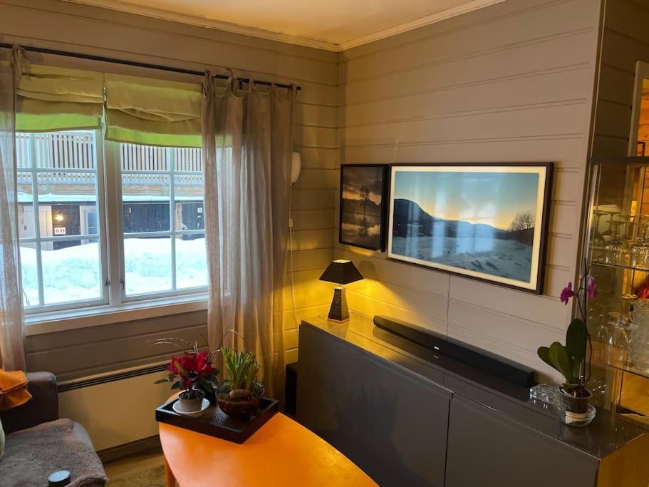 Ferienwohnung Koselig Leilighet , Med Parkering Og Ski In &Out. Oppdal Exterior foto